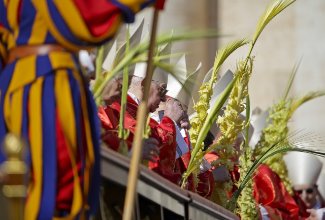 Cardinals hold palms as Pope Francis leads the Palm Sunday mass at Saint Peter's Square at the Vatican