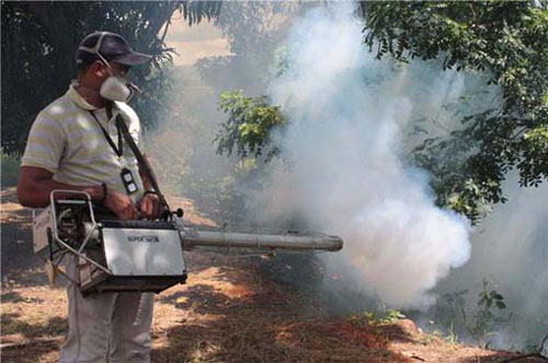 Carabobo está “plagada” por los 4 tipos de dengue