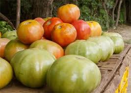 Tomate margariteño es un “lujo” en la mesa