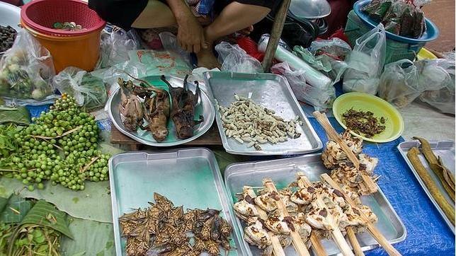 Carne de rata considerada un manjar en China y Tailandia (Foto + iuk)