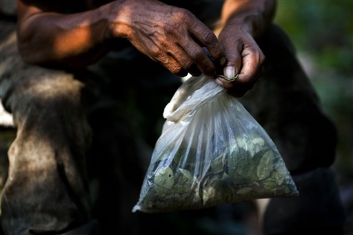 Aumentó “considerablemente” la producción de cocaína en Colombia