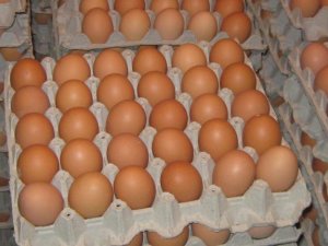 El cartón de huevos subió a Bs 1.000 en Anaco