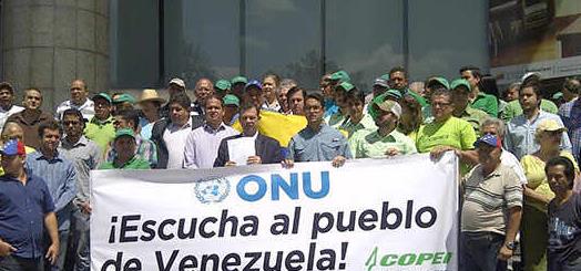 Copei solicita a la ONU escuchar a manifestantes en Venezuela