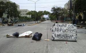 Guaros en “resistencia” (Foto)