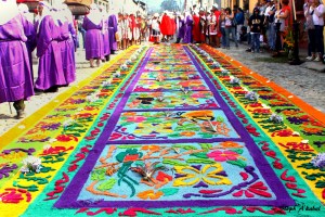 Guatemaltecos intentarán romper récord con la alfombra más larga del mundo
