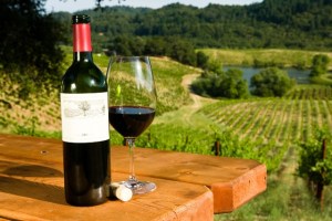 Conozca las propiedades antioxidantes del vino