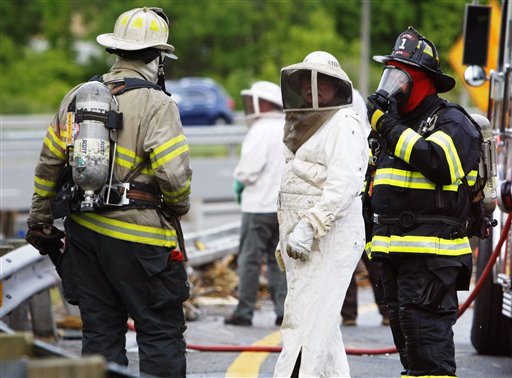 Millones de abejas se fugan por choque en Delaware (Fotos)
