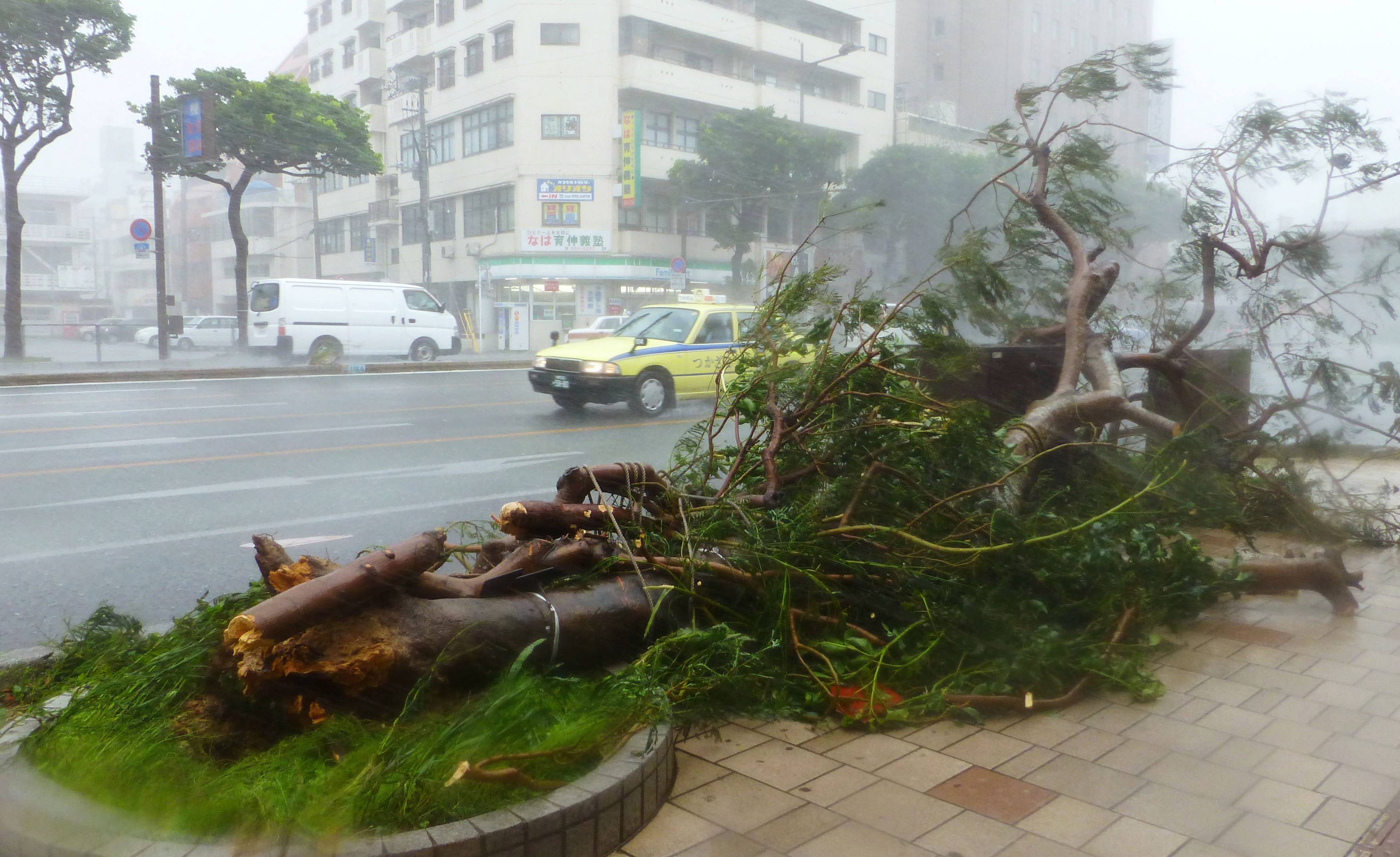 El tifón “Neoguri” golpea con fuerza las islas del sur de Japón (Fotos)