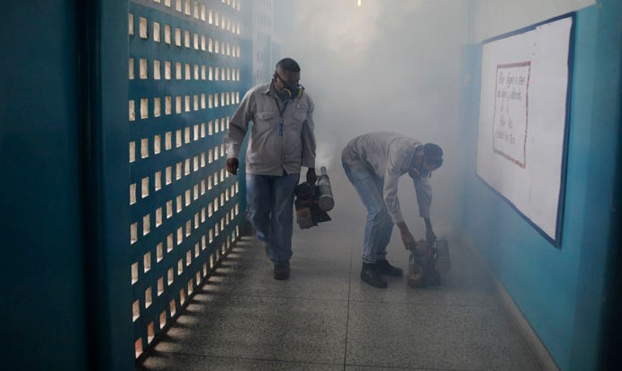 Aumentan casos sospechosos de chikunguña en Lara