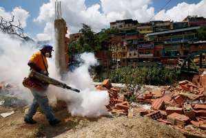 Sociedad Venezolana de Infectología aseguró que el repunte de casos de dengue en el país es alarmante