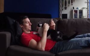 Conoce el gato que se enamoró de su dueño (VIDEO)