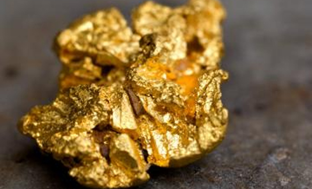 Un estudio afirma que heces humanas contienen oro