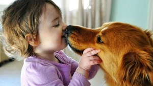 Un parásito del perro puede dejar ciegos a los niños