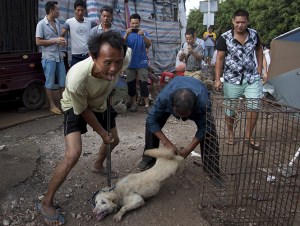 China y el consumo de carne de perro; tradición contra tabú