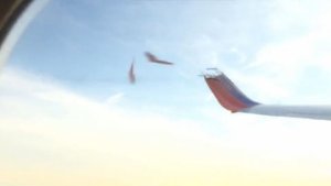 Terror en el aire: Drone destruye el ala de un avión (Video)