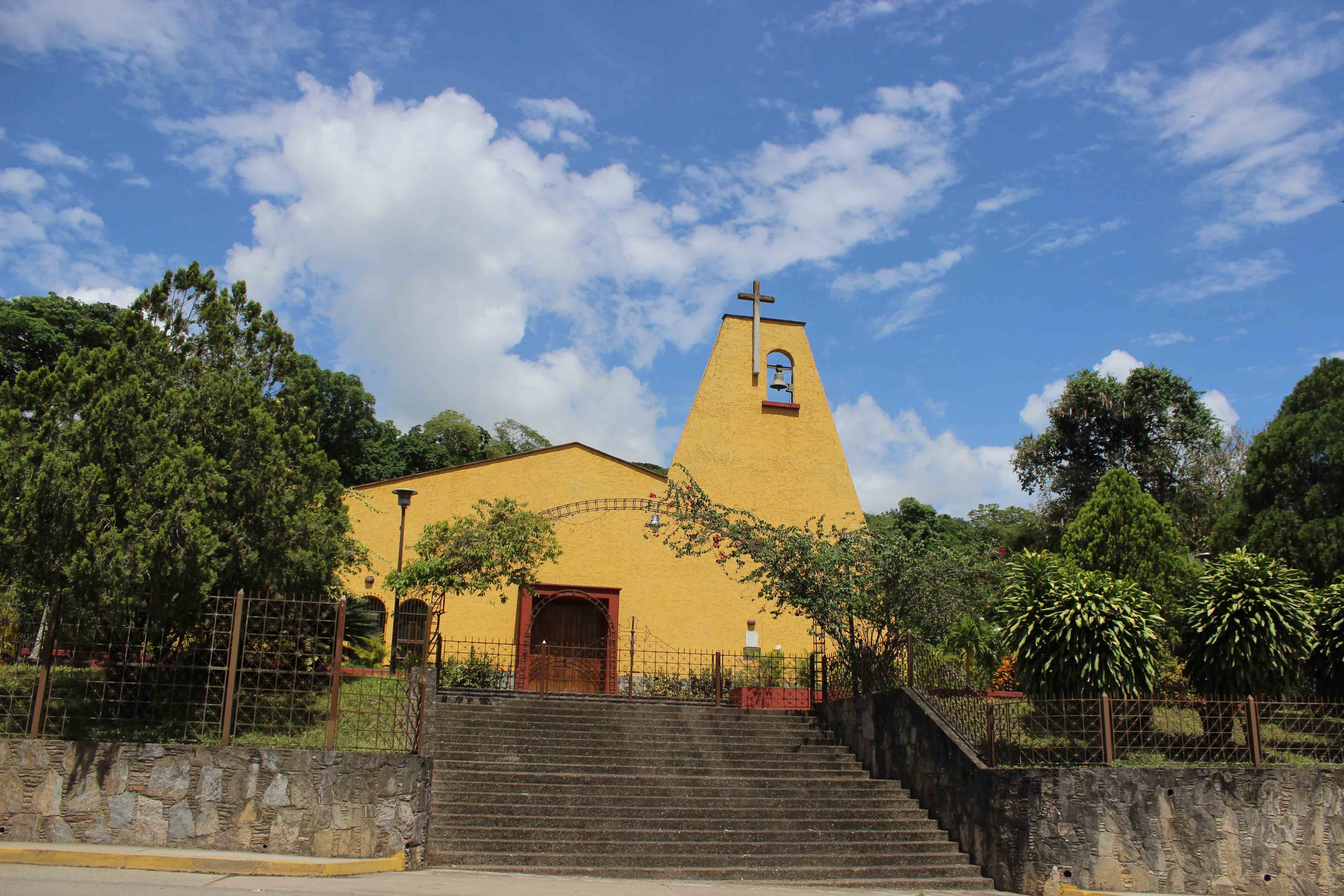 Araira, tierra mirandina de jugosas mandarinas