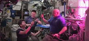 Astronautas prueban primera lechuga cultivada en el espacio (Fotos + Video)