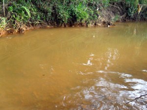 Proteccionistas en EEUU contaminan río por accidente