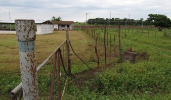 El 60% de fincas del sur de Anzoátegui abandonadas por inseguridad
