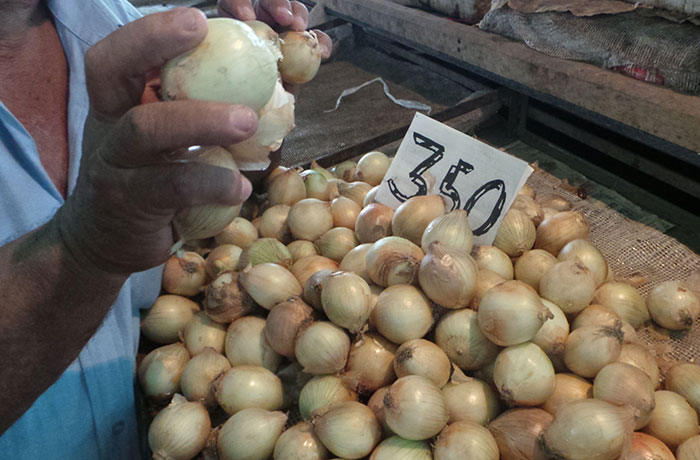 Te quedarás con las ganas de hacer hallacas luego de ver el precio del tomate y la cebolla