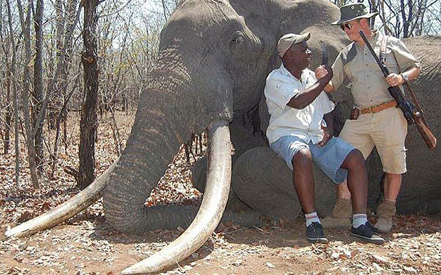 Cazador alemán mata a un elefante, tesoro nacional de Zimbabue