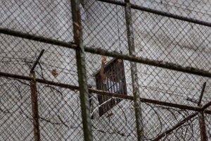 Efecto Naím: Las trágicas condiciones de los presos políticos en Venezuela