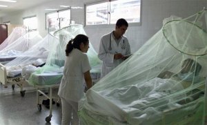 OPS estima que el Zika llegará a toda América Latina y pide controlar el mosquito