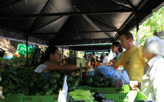 Mercados y Ferias de Hortalizas de Baruta arrancan este martes