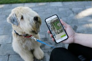 ¿Cómo ayuda la tecnología a mantener las mascotas sanas y conectadas? (Fotos)