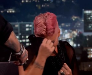 Pink queda muda al conocer a su amor platónico (video)