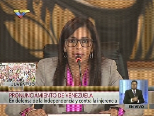 “OEA no puede aplicar Carta Democrática a Venezuela”