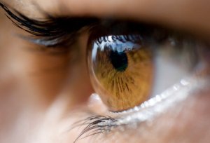 Las nuevas investigaciones que develan algunos datos sobre el ojo humano