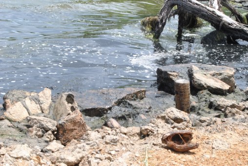 Justo Bermudez- Santa Rita- derrame de petroleo Lago de Maracaibo (7)
