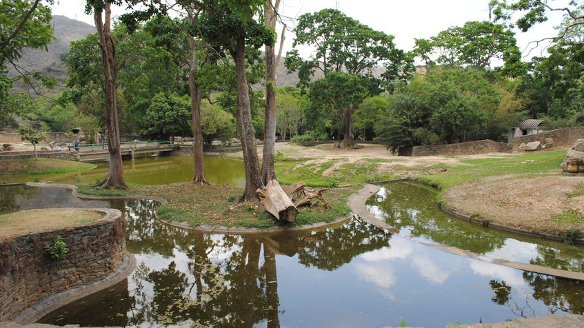 ¡Indignante! Viceministro de Ecosocialismo: La muerte de animales en los zoológicos es un hecho habitual