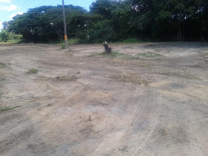 Denuncian ecocidio en el parque Cachamay en Puerto Ordaz