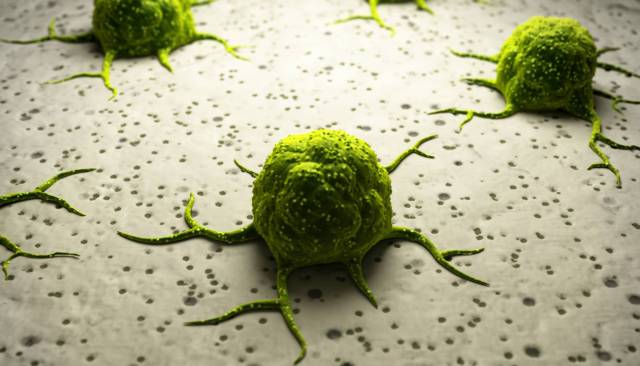 Foto: La técnica CRISPR permite luchar contra las células cancerosas / elpais.com