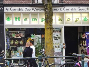 Cierra el coffee shop más antiguo de Ámsterdam por estar cerca de una escuela