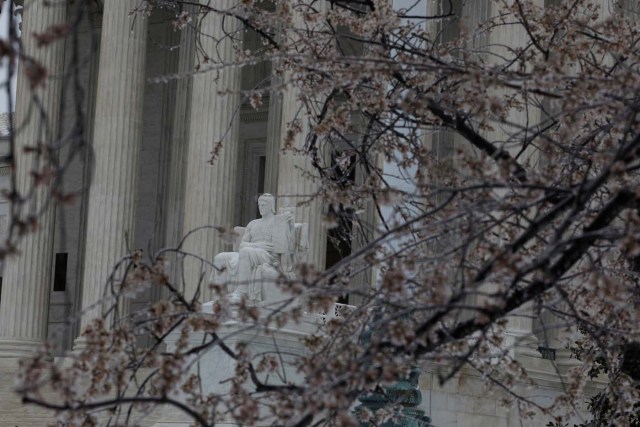 Ice covers tree branches outside the Supreme Court in Washington, D.C., U.S. March 14, 2017. REUTERS/Aaron P. Bernstein