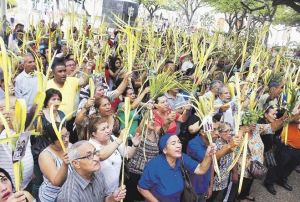 Inundaciones en sembradíos afectaron producción de palmas para Semana Santa en Maracaibo