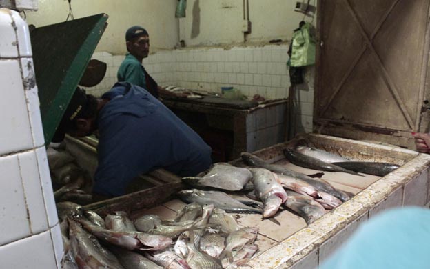 Precios del pescado se disparan al doble en Zulia