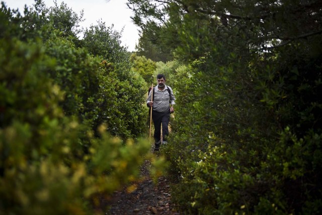 Carlos Gil walks through bushes on the morning he started his walk to Fatima, in Cascais, outskirts of Lisbon, on May 5, 2017.  Carlos Gil is a payer-off of promises, at least that is the way the Roman Catholic refers to himself. But he is more commonly known as a rent-a-pilgrim. This 52-year-old Portuguese national takes on pilgrimages by proxy (in the name of others), especially Catholics unable to fulfil the journey because of sickness or too busy or lazy to undertake the week-long spiritual walk to the central Portuguese town of Fatima. He can be hired for an average cost of 2,500 euros. / AFP PHOTO / PATRICIA DE MELO MOREIRA / TO GO WITH AFP STORY BY BRIGITTE HAGEMANN