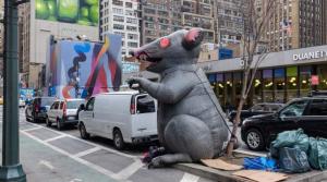 ¿WTF?… La cuantiosa suma que Nueva York gastará para acabar con sus ratas
