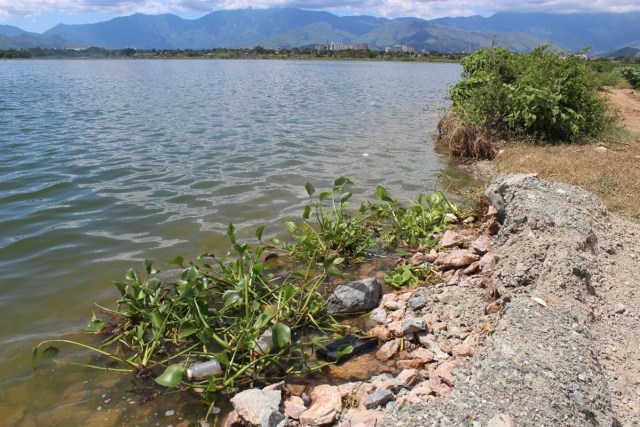 Borde del Lago de Valencia / Foto: Mildred Manrique, 800Noticias