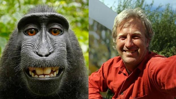 Corte de EEUU atribuye al fotógrafo humano los derechos del selfie del mono