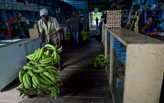 Un residente local mueve una carga de plátanos en una tienda en Pital de la Costa, municipio de Tumaco, departamento de Nariño, Colombia, el 31 de octubre de 2017. En el remoto municipio de Tumaco, en la región costera del Pacífico colombiano, las pocas familias que no han huido viven con un temor constante a la violencia, a pesar del acuerdo de paz firmado en noviembre de 2016 entre el gobierno y los rebeldes de las FARC, debido a grupos armados que disputan la droga los corredores de tráfico a los Estados Unidos. / AFP PHOTO / Raul Arboleda