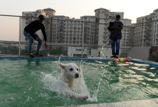 Fotografía: SAJJAD HUSSAIN / AFP