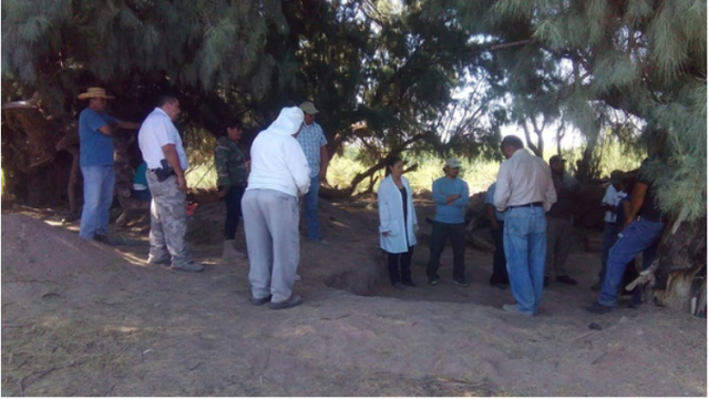 El grupo VIDA, en plena búsqueda de restos humanos. Foto Infobae