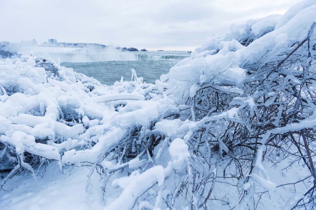 Ice and snow cover branches near the brink of the Horseshoe Falls in Niagara Falls, Ontario, Canada, January 3, 2018. REUTERS/Aaron Lynett