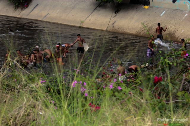 (Foto: Steffany Carvajal / La Patilla)