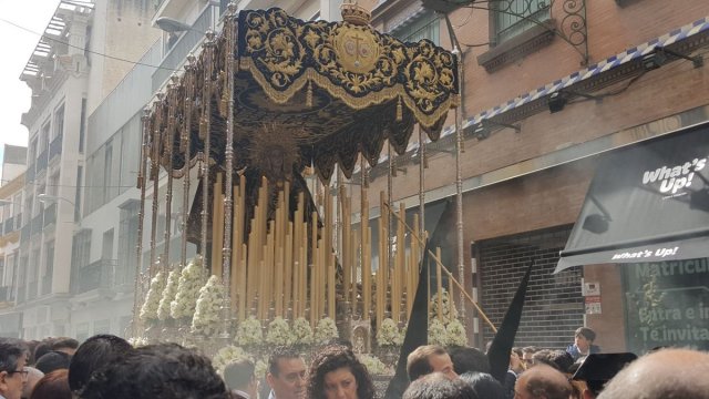 Domingo de Ramos En Sevilla Espana (17)